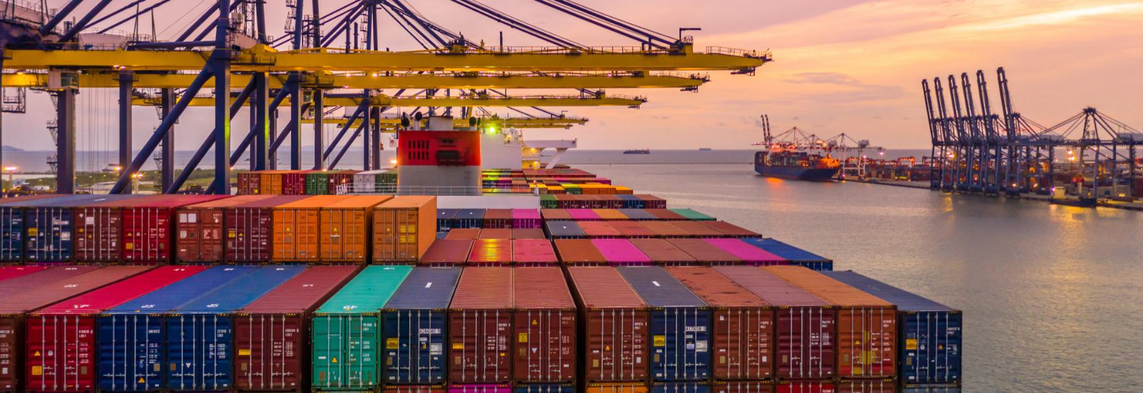 Gümrükleme ve Dış Ticaret Süreç Yönetimi